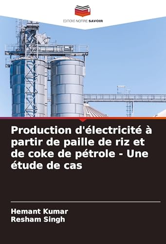 Production d'électricité à partir de paille de riz et de coke de pétrole - Une étude de cas