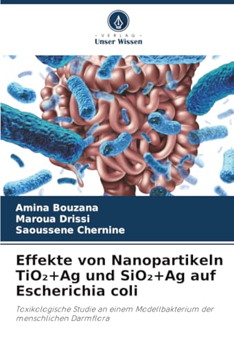 Effekte von Nanopartikeln TiO₂+Ag und SiO₂+Ag auf Escherichia coli