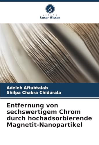 Entfernung von sechswertigem Chrom durch hochadsorbierende Magnetit-Nanopartikel