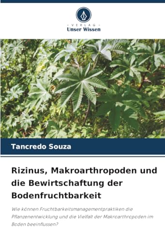 Rizinus, Makroarthropoden und die Bewirtschaftung der Bodenfruchtbarkeit