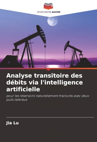 Analyse transitoire des débits via l'intelligence artificielle