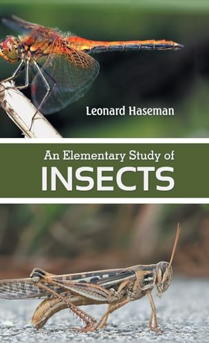 An Elementary Study of insects