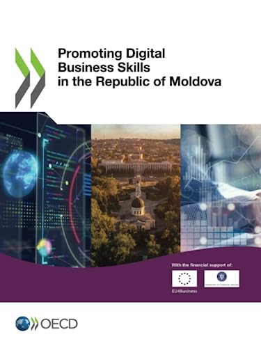 Promoting Digital Business Skills in the Republic of Moldova