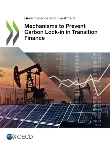 Mechanisms to Prevent Carbon Lock-in in Transition Finance