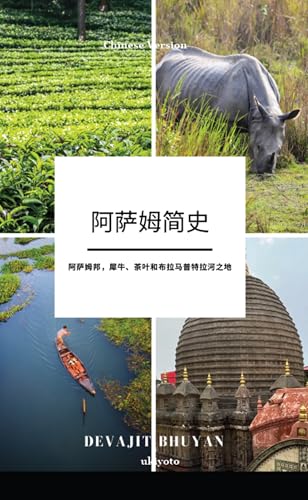 A Brief History of Assam Chinese Version | 阿萨姆邦，犀牛、茶叶和布拉马普特拉河之地