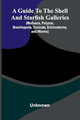 A Guide To The Shell And Starfish Galleries