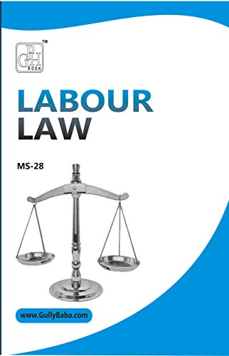 MS-28  LABOUR LAWS