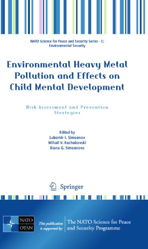Environmental Heavy Metal Pollution and Effects on Child Mental Development