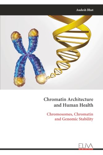 Chromatin Architecture and Human Health