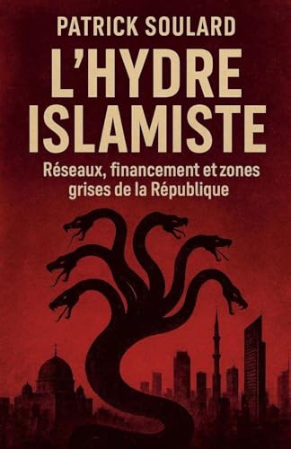 L'hydre islamiste, réseaux, financement et zones grises de la République