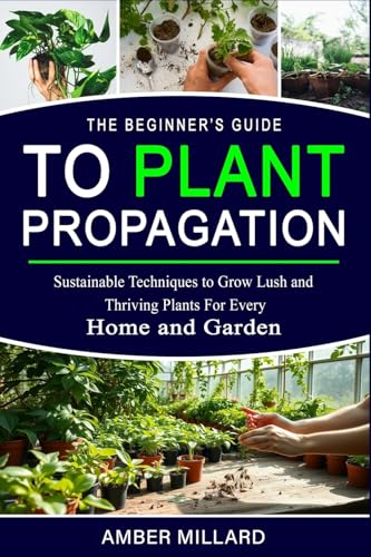 THE BEGINNERS GUIDE TO PLANT PROPAGATION