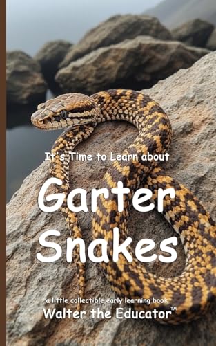 It's Time to Learn about Garter Snakes