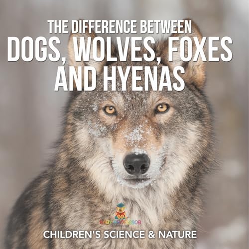 The Difference Between Dogs, Wolves, Foxes and Hyenas | Children's Science & Nature