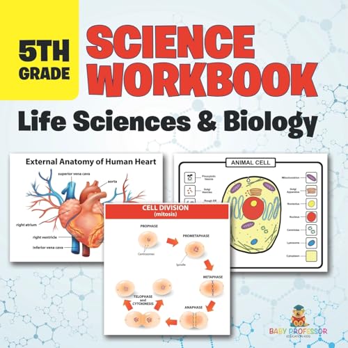 5th Grade Science Workbook