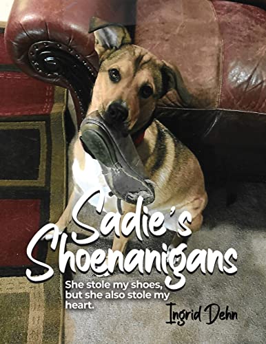 Sadie's Shoenanigans