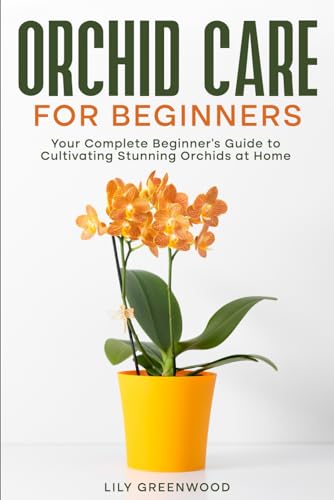Orchid Care for Beginners