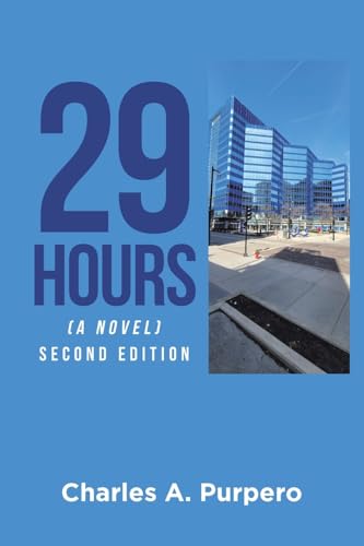 29 Hours (A Novel)