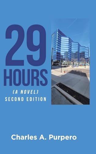 29 Hours (A Novel)