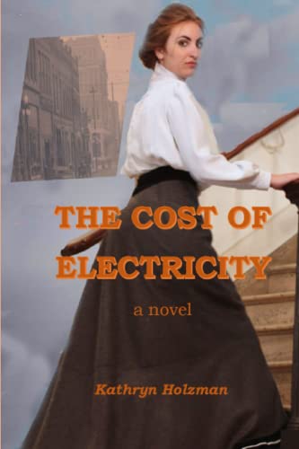 The Cost of Electricity, a Novel