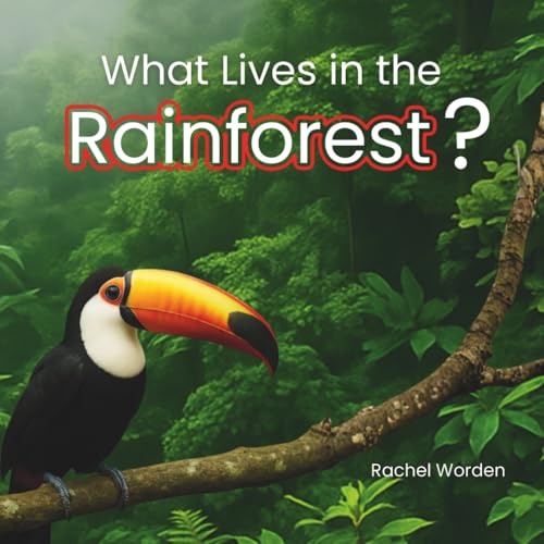 What Lives in the Rainforest?